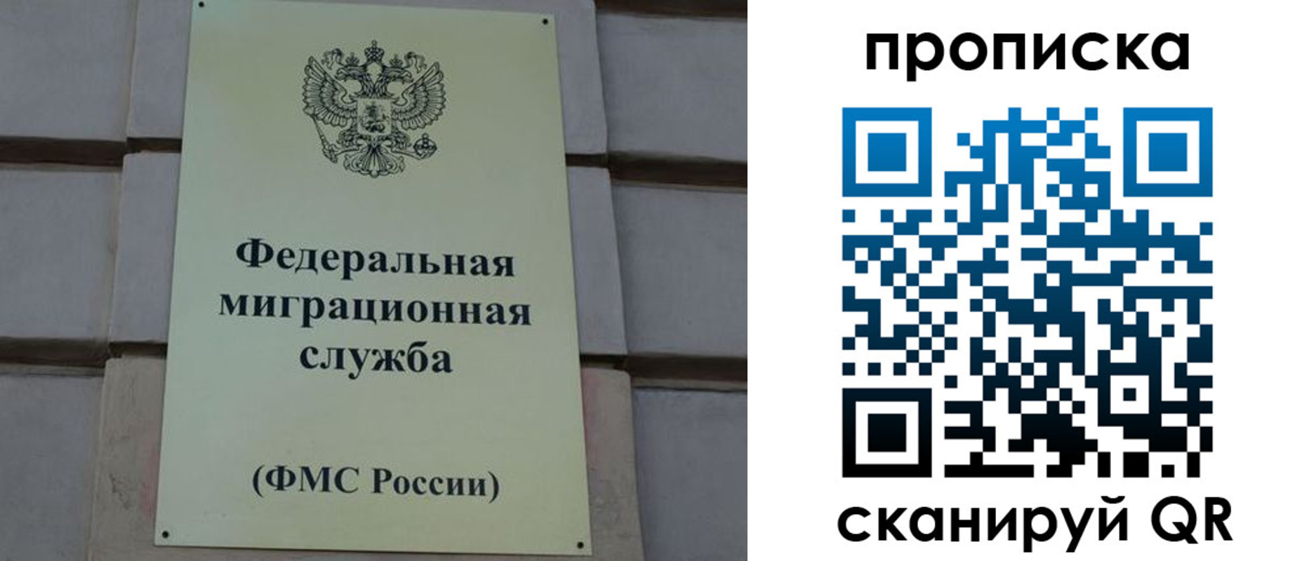 прописка поиск в Киселёвске